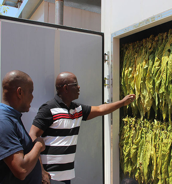 Solar Powered Tobacco Flue-cure Chamber in Zambia and Zimbabwe